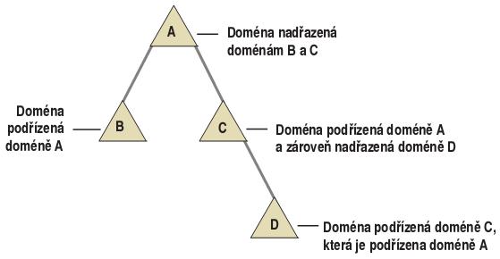 Soubor:Hierarchie domen.JPG